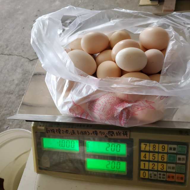 雞吃蜂蛹生的蛋(一公斤/裝現場取貨)