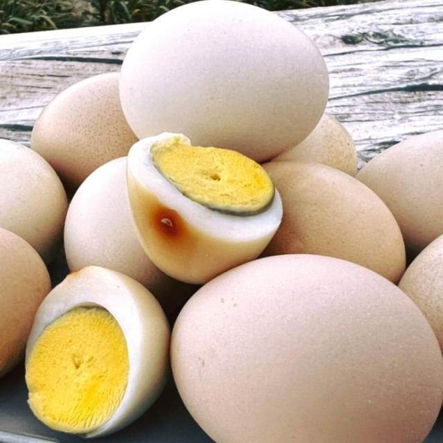 初產雞蛋(一公斤裝/現場取貨)
