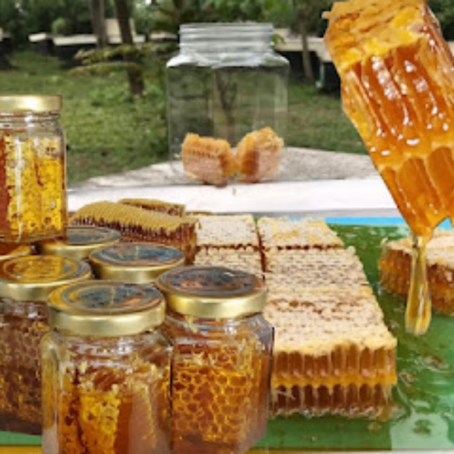 蜂巢生蜜100克裝