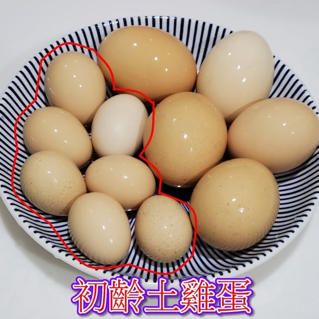 初產雞蛋(一公斤裝/現場取貨)